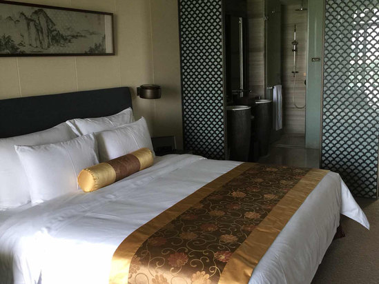 深圳隐秀山居酒店房型图片